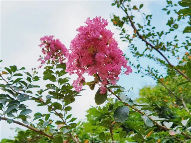 呼吸鮮氧，踐行公益——廣東博皓公益活動(dòng)：星溪線公益環(huán)保活動(dòng)   -5