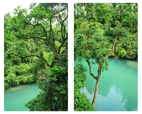 多彩貴州，魅力天下，2021年廣東博皓快樂貴州行-29