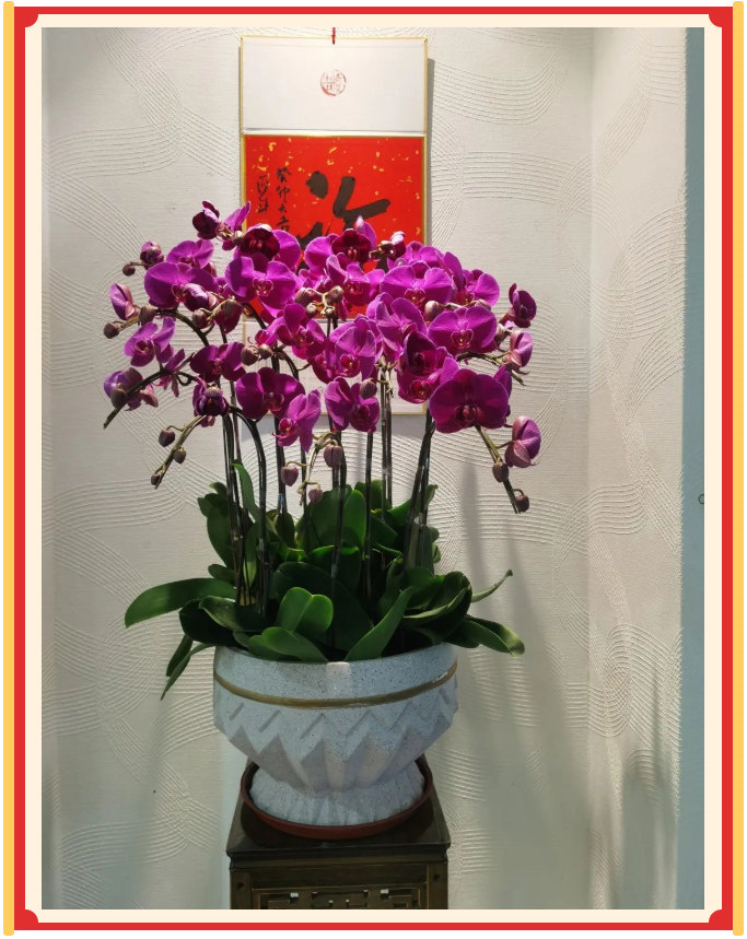 廣東博皓開工大吉丨金虎騰躍，兔來運(yùn)轉(zhuǎn)           -23