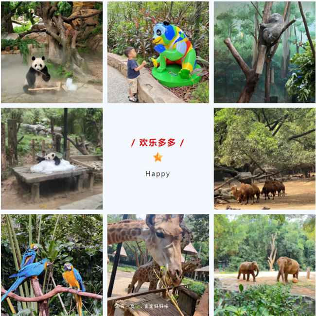 大手牽小手，快樂親子游！廣東博皓2023年親子游活動(dòng)        -8