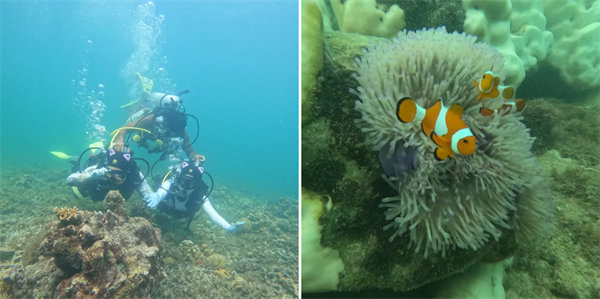 暢游碧海藍天，共筑團隊夢想—博皓沙巴風情之旅        -4